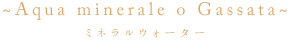 Aquq minerale o Gassata ミネラルウォーター